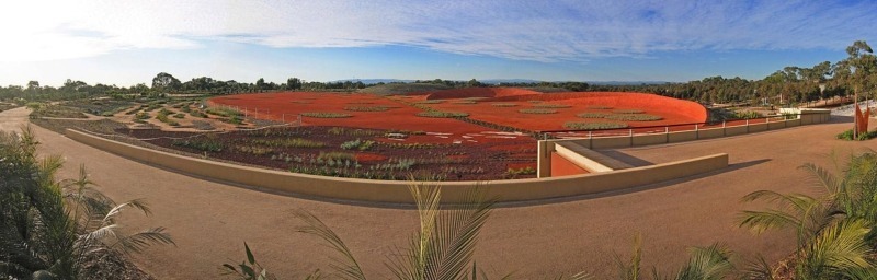 Red Sand Garden Cranbourne, VIC, 3977